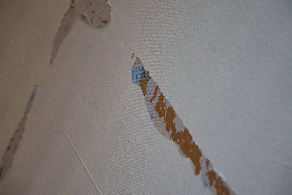 Water Extraction service in North Highlands, CA